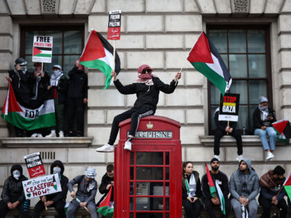 TOPSHOT - A protester waves Palestinian flags sitting on a red telephone box on Whitehall