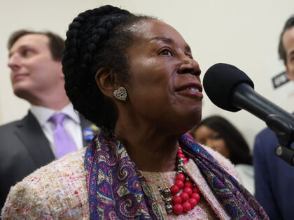 Rep. Sheila Jackson Lee (D-TX) speaks to reporters as she is joined by fellow House Democr