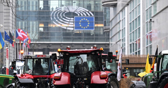 EU Bows to Farmers, Imposes Restrictions on Some Ukrainian Agriculture