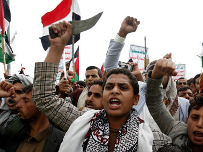 Yemenis lift rifles, flags of Yemen and Palestine, Houthi emblems as they shout slogans du