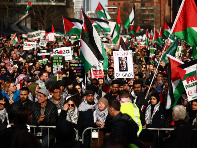Pro-Palestinian activists and supporters wave flags and hold placards as they gather near