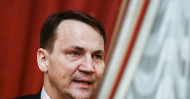 Polish Foreign Minister: Sending NATO Troops to Ukraine 'Not Unthinkable'