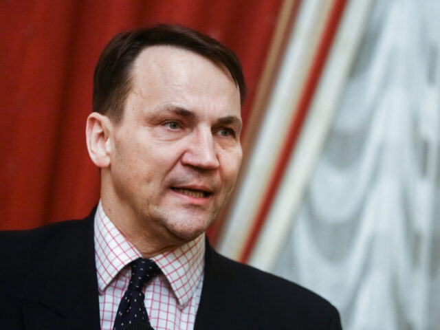 Radoslaw Sikorski, a former Polish Deputy Minister of Foreign Affairs (19982001) and Minis