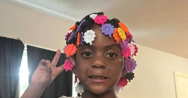 Rescuers Search for Body of Six-Year-Old Girl Swept Away in PA Creek - Vimarsana News