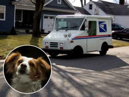 Mail truck and dog