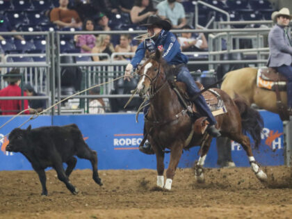 Marty Yates ropes his calf in tie down roping for a time of 8.8 during Super Series V, rou