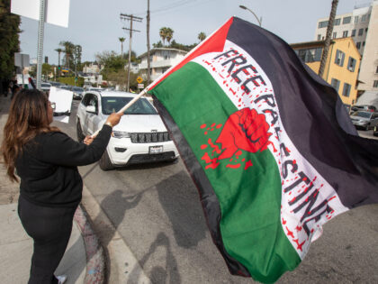 A pro-Palestinian demonstrator waves a flag in the street during a protest near the Dolby
