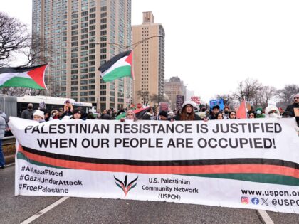 CHICAGO, UNITED STATES - JANUARY 6 : Pro-Palestinian demonstrators shut down DuSable Lake