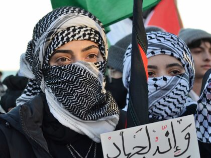 CHICAGO, UNITED STATES - NOVEMBER 18: Pro-Palestinian demonstrators hold a rally near Buck
