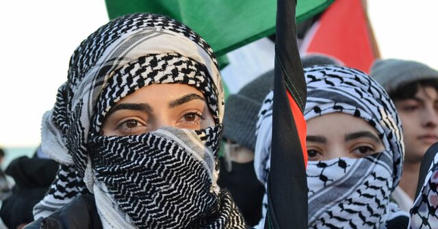 Report: Anti-Israel Protesters Beat Up Jewish Man at Theater in Chicago