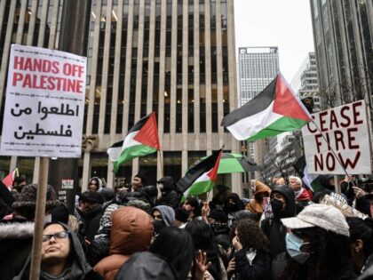 Pro-Palestinian protest in Manhattan
