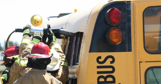 Report: TX Trucker Admits Using Cocaine Before Fatal School Bus Crash