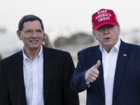 Exclusive – Trump to Endorse John Barrasso for Senate GOP Whip