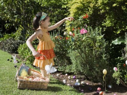 child hunting for Easter eggs
