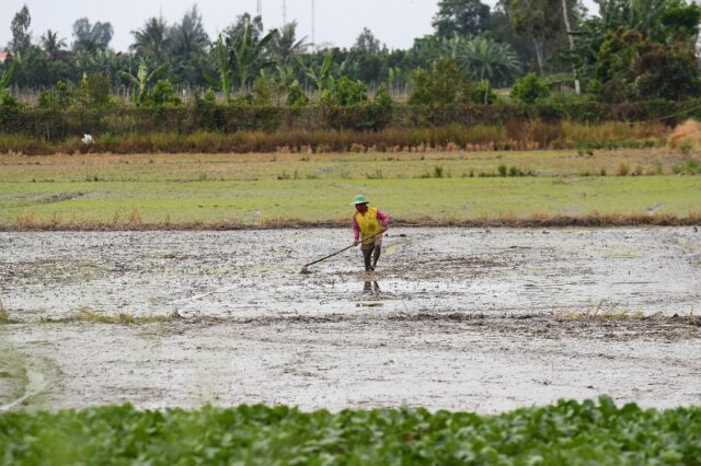 Vietnam's Mekong Delta provides food and livelihoods for tens of millions of people