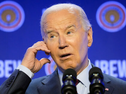 Harvard-Harris Poll: Majority Oppose Biden Withholding Arms from Israel