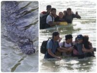 Large Alligator Spotted in Texas-Mexico Border River, Governor Warns Migrants
