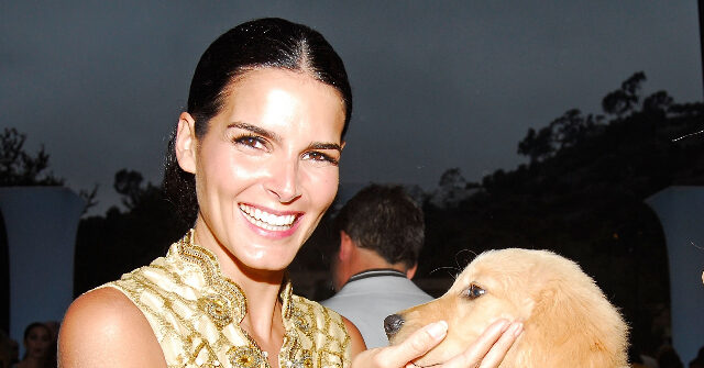 Actress Angie Harmon Sues Instacart Driver Who Allegedly Fatally Shot Her Dog