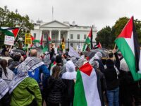 Report: ‘Justice for Palestine’ Activists Work to Disrupt Biden’s Nomination 