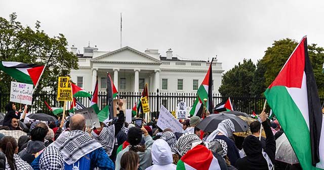 NextImg:Report: Pro-Hamas Activists Work to Disrupt Biden's Nomination 