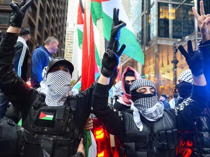 People gather in Chicago, United States to show solidarity with Palestinians in the Gaza S