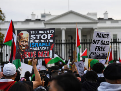 Demonstrators gather in front of the White House during a rally in support of Palestinians