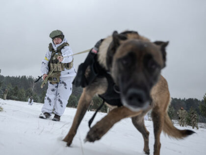 CHERNIHIV, UKRAINE - FEBRUARY 10: Ukrainian border guards conduct training on patrolling t