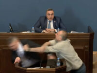 Watch: Brawl Erupts in Georgia Parliament After Lawmaker Punched in the Face During Speech