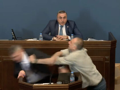 A screen grab captured from the video shows opposition MP Aleko Elisashvili punching the l