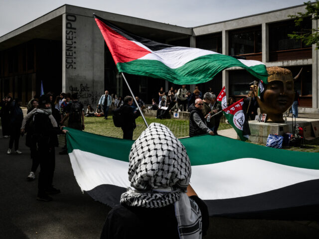 Students hold a giant Palestinian flag during a rally in support of Palestinians near the