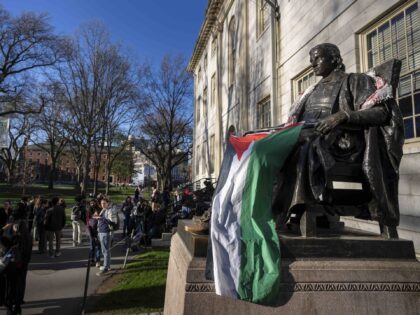 Students protesting against the war in Gaza, and passersby walking through Harvard Yard, a