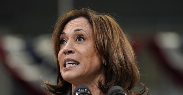 Kamala Harris: Trump Is 'Insulting' to Black Voters