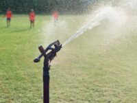 Panic as Automatic Sprinklers Soak Harvard’s Anti-Israel Encampment