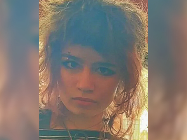 VIDEO: San Francisco Police Find Missing Teen of Tech Founders with Man - Vimarsana News