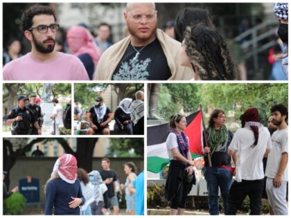 Pro-Palestine protesters at the University of Texas at Austin. (Jewish student carries sig