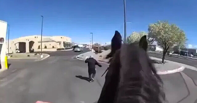 WATCH: Officers on Horseback Chase Alleged Shoplifter - Vimarsana News