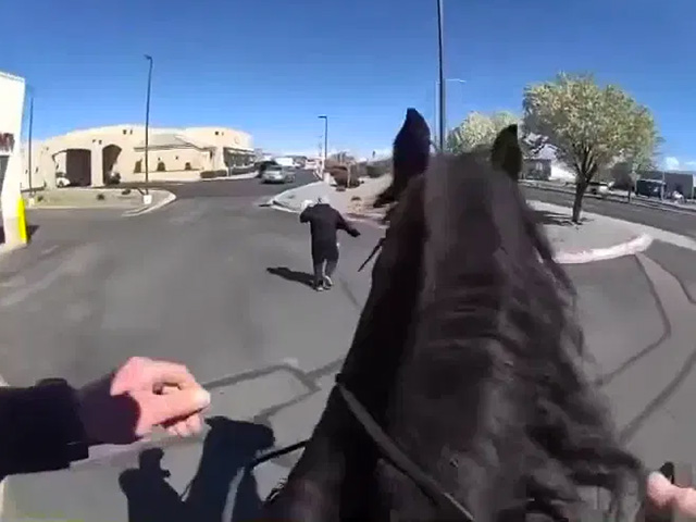 WATCH: Officers on Horseback Chase Alleged Shoplifter - Vimarsana News