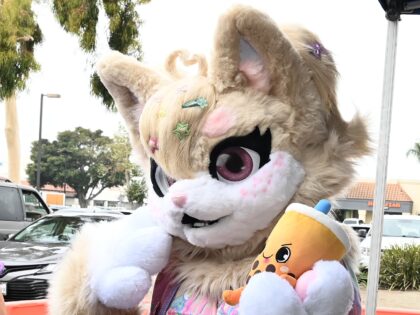 SAN DIEGO, CALIFORNIA - JULY 22: A cosplayer dressed as a furry boba fan attends the 5th A