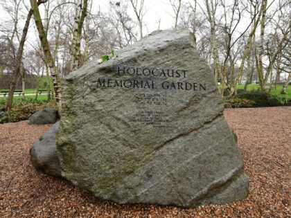 A rose is placed on the stone in the Holocaust Memorial Garden in Hyde Park, London, to he