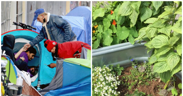 NextImg:Nolte: Democrat-Run San Francisco Demands Permits for Planters that Keep Homeless Away