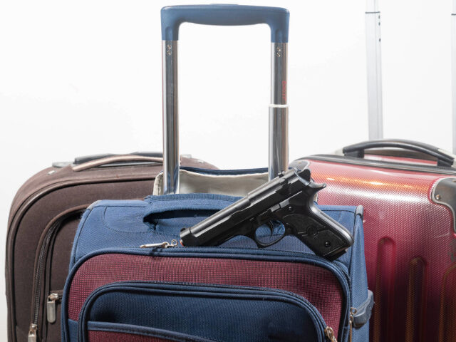 luggage gun