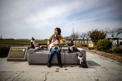 Atsuko Sato sits with her Japanese shiba inu dog Kabosu, best known as the face of the cry
