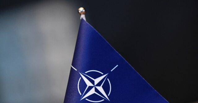 NATO Celebrates 75th Anniversary with Summit in Washington