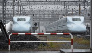 Stowaway snake causes delay for bullet train in Japan