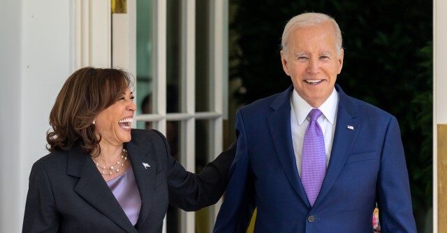 Dem Rep. Goldman on 25th Amendment Calls: Don't 'Just Focus on Joe Biden' 'Focus on the People Around Him'