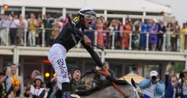 Seize the Grey Wins the Preakness for D. Wayne Lukas and Ends Mystik Dan’s Triple Crown Bid