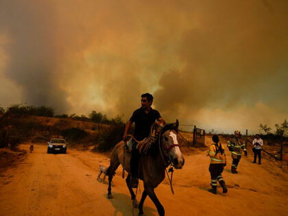 A resident flees an encroaching forest fire in Vina del Mar, Chile, Feb. 3, 2024. Police a