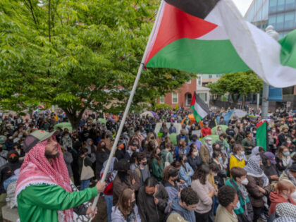 A student waves a Palestinian flag among the crowd of the pro-Palestine student protests t