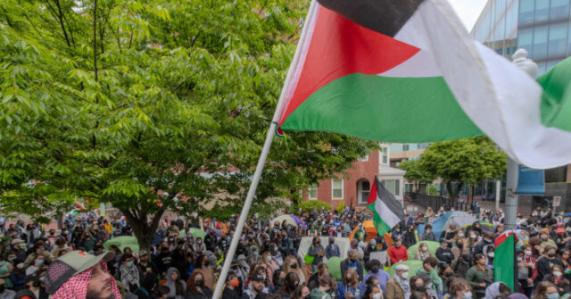 GOP Bill Proposes Sending College Rioters to Gaza for Community Service