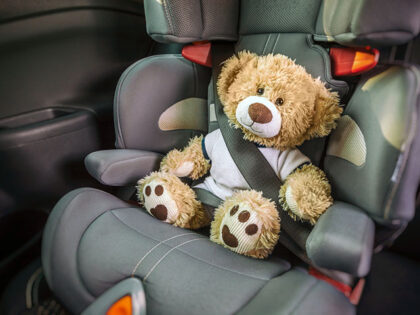 teddy bear car seat